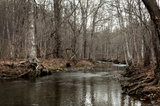 Stroubles Creek flows Wednesday through the proposed 44-acre Harvey Lee Price Park in the Prices Fork area of Montgomery County.