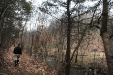 Randi Lemmon, a Friends of the Rivers of Virginia board member, walks along an old woods road next to Walls Branch in the proposed Harvey Lee Price Park in Montgomery County on Wednesday.